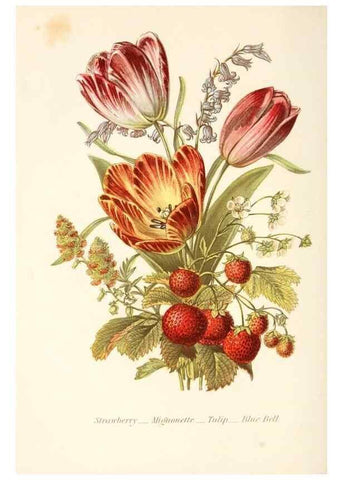 Reproducción/Reproduction 48591715412: The language of flowers, or, Floral emblems of thoughts, feelings, and sentiments /. London ;G. Routledge,1869.. 