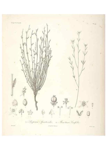 Reproducción/Reproduction 48347054231: Voyage autour du monde :. Paris :Arthus Bertrand,1825-1830 [i.e. 1838]. 