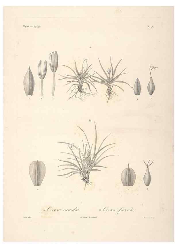 Reproducción/Reproduction 48347045231: Voyage autour du monde :. Paris :Arthus Bertrand,1825-1830 [i.e. 1838]. 