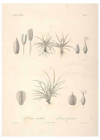 Reproducción/Reproduction 48347045231: Voyage autour du monde :. Paris :Arthus Bertrand,1825-1830 [i.e. 1838]. 