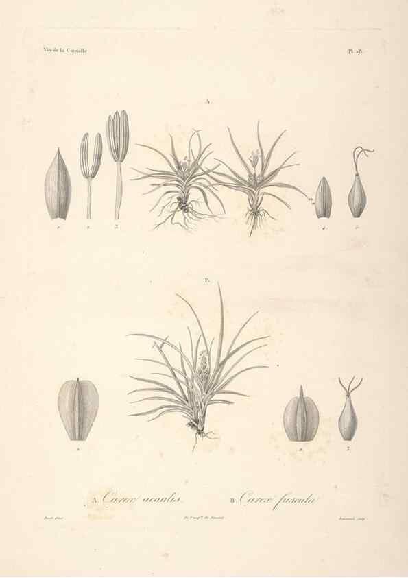 Reproducción/Reproduction 48347045231: Voyage autour du monde :. Paris :Arthus Bertrand,1825-1830 [i.e. 1838]. 
