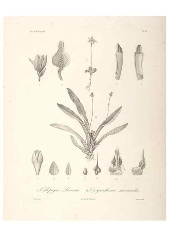 Reproducción/Reproduction 48347187082: Voyage autour du monde :. Paris :Arthus Bertrand,1825-1830 [i.e. 1838]. 