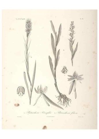 Reproducción/Reproduction 48347049336: Voyage autour du monde :. Paris :Arthus Bertrand,1825-1830 [i.e. 1838]. 