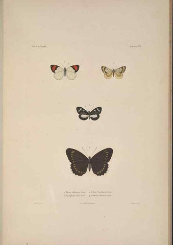 Reproducción/Reproduction 48346900981: Voyage autour du monde :. Paris :Arthus Bertrand,1825-1830 [i.e. 1838]. 