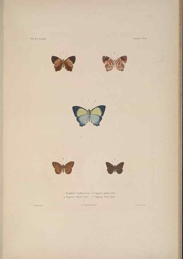 Reproducción/Reproduction 48347038122: Voyage autour du monde :. Paris :Arthus Bertrand,1825-1830 [i.e. 1838]. 