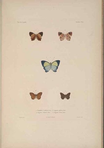Reproducción/Reproduction 48347038122: Voyage autour du monde :. Paris :Arthus Bertrand,1825-1830 [i.e. 1838]. 