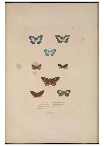 Reproducción/Reproduction 48347039157: Voyage autour du monde :. Paris :Arthus Bertrand,1825-1830 [i.e. 1838]. 