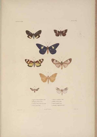 Reproducción/Reproduction 48347039842: Voyage autour du monde :. Paris :Arthus Bertrand,1825-1830 [i.e. 1838]. 