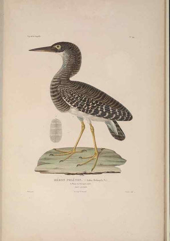 Reproducción/Reproduction 48346956047: Voyage autour du monde :. Paris :Arthus Bertrand,1825-1830 [i.e. 1838]. 
