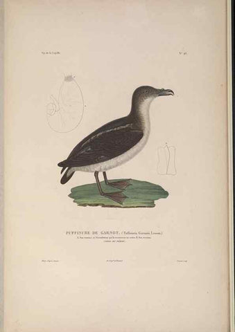 Reproducción/Reproduction 48346820791: Voyage autour du monde :. Paris :Arthus Bertrand,1825-1830 [i.e. 1838]. 