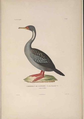 Reproducción/Reproduction 48346957672: Voyage autour du monde :. Paris :Arthus Bertrand,1825-1830 [i.e. 1838]. 
