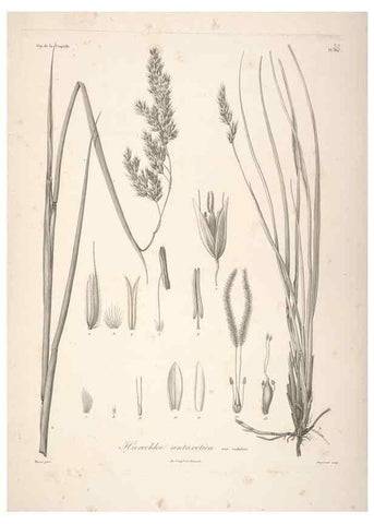 Reproducción/Reproduction 48347180457: Voyage autour du monde :. Paris :Arthus Bertrand,1825-1830 [i.e. 1838]. 