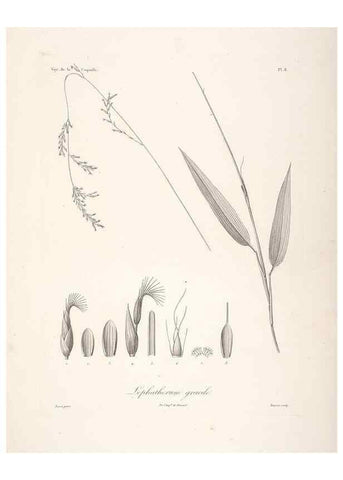 Reproducción/Reproduction 48347173132: Voyage autour du monde :. Paris :Arthus Bertrand,1825-1830 [i.e. 1838]. 