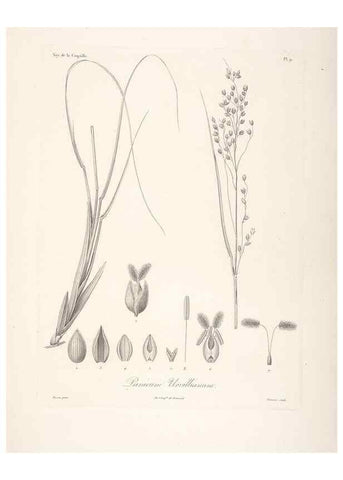 Reproducción/Reproduction 48347173702: Voyage autour du monde :. Paris :Arthus Bertrand,1825-1830 [i.e. 1838]. 