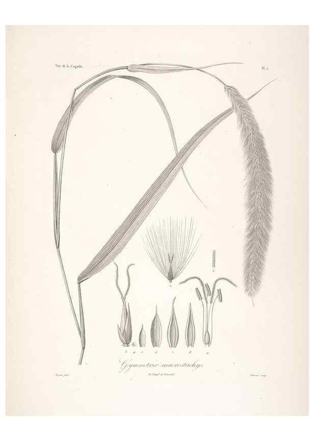 Reproducción/Reproduction 48347174612: Voyage autour du monde :. Paris :Arthus Bertrand,1825-1830 [i.e. 1838]. 