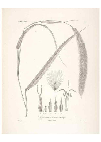 Reproducción/Reproduction 48347174612: Voyage autour du monde :. Paris :Arthus Bertrand,1825-1830 [i.e. 1838]. 