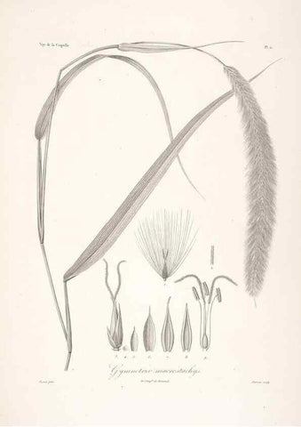 Reproducción/Reproduction 48347174612: Voyage autour du monde :. Paris :Arthus Bertrand,1825-1830 [i.e. 1838]. 