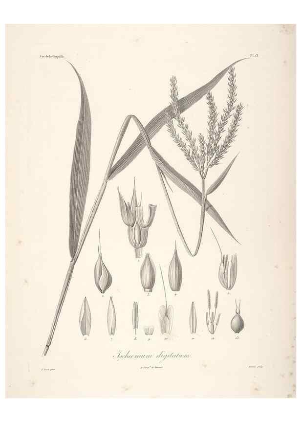 Reproducción/Reproduction 48347175432: Voyage autour du monde :. Paris :Arthus Bertrand,1825-1830 [i.e. 1838]. 