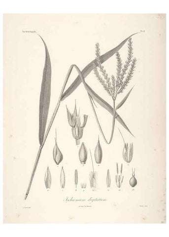 Reproducción/Reproduction 48347175432: Voyage autour du monde :. Paris :Arthus Bertrand,1825-1830 [i.e. 1838]. 
