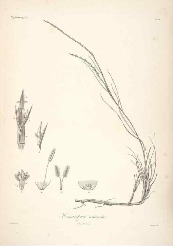 Reproducción/Reproduction 48347176412: Voyage autour du monde :. Paris :Arthus Bertrand,1825-1830 [i.e. 1838]. 