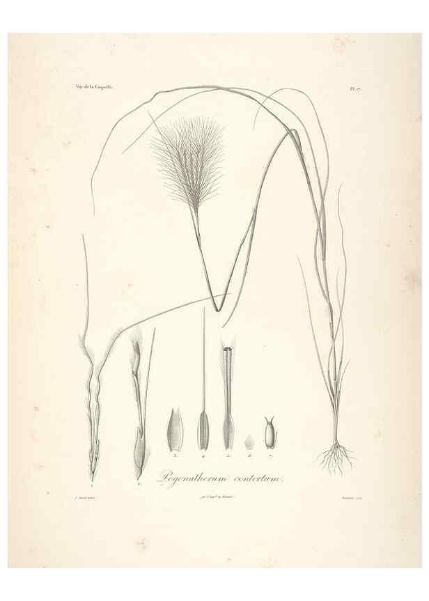 Reproducción/Reproduction 48347177612: Voyage autour du monde :. Paris :Arthus Bertrand,1825-1830 [i.e. 1838]. 