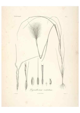 Reproducción/Reproduction 48347177612: Voyage autour du monde :. Paris :Arthus Bertrand,1825-1830 [i.e. 1838]. 