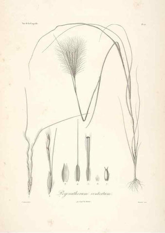 Reproducción/Reproduction 48347177612: Voyage autour du monde :. Paris :Arthus Bertrand,1825-1830 [i.e. 1838]. 