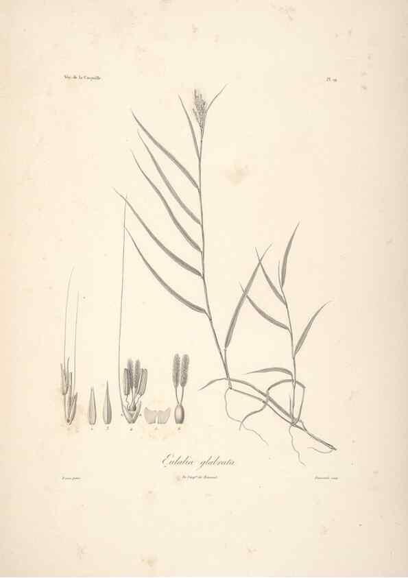 Reproducción/Reproduction 48347040561: Voyage autour du monde :. Paris :Arthus Bertrand,1825-1830 [i.e. 1838]. 