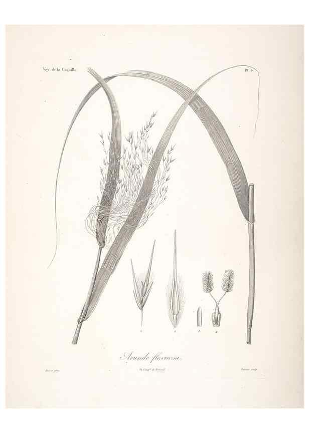 Reproducción/Reproduction 48347171912: Voyage autour du monde :. Paris :Arthus Bertrand,1825-1830 [i.e. 1838]. 