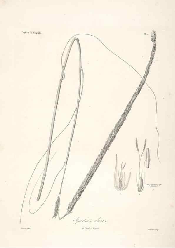 Reproducción/Reproduction 48347170637: Voyage autour du monde :. Paris :Arthus Bertrand,1825-1830 [i.e. 1838]. 