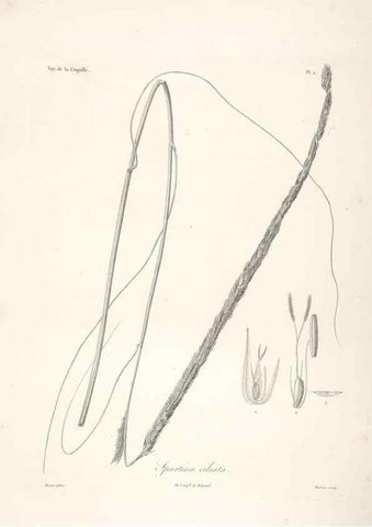 Reproducción/Reproduction 48347170637: Voyage autour du monde :. Paris :Arthus Bertrand,1825-1830 [i.e. 1838]. 