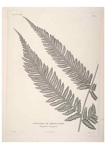 Reproducción/Reproduction 48347079516: Voyage autour du monde :. Paris :Arthus Bertrand,1825-1830 [i.e. 1838]. 