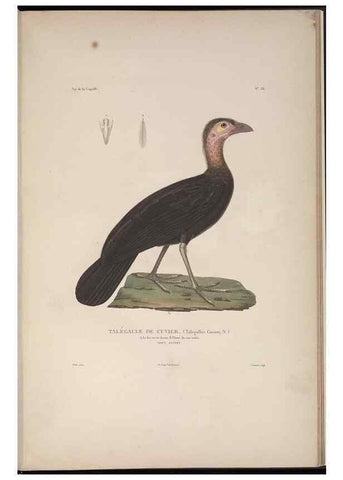 Reproducción/Reproduction 48346953477: Voyage autour du monde :. Paris :Arthus Bertrand,1825-1830 [i.e. 1838]. 