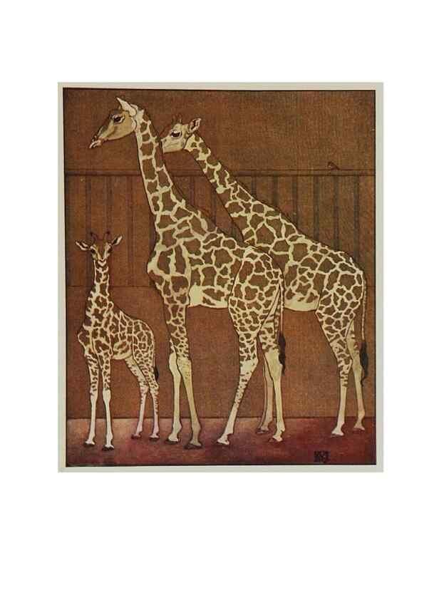 Reproducción/Reproduction 48346868932: The childhood of animals,. New York,F. A. Stokes[1912]. 