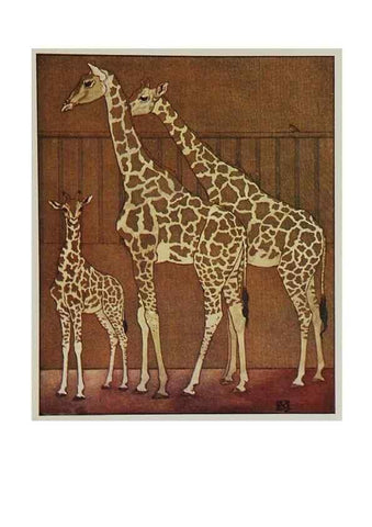 Reproducción/Reproduction 48346868932: The childhood of animals,. New York,F. A. Stokes[1912]. 