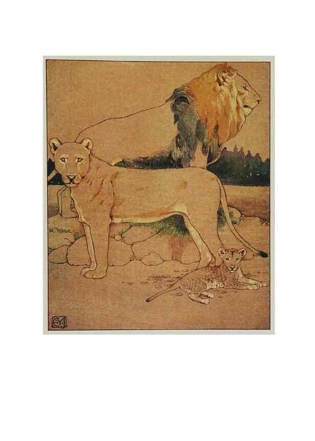 Reproducción/Reproduction 48346733636: The childhood of animals,. New York,F. A. Stokes[1912]. 