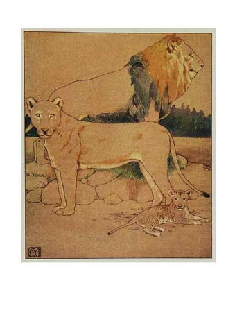 Reproducción/Reproduction 48346733636: The childhood of animals,. New York,F. A. Stokes[1912]. 