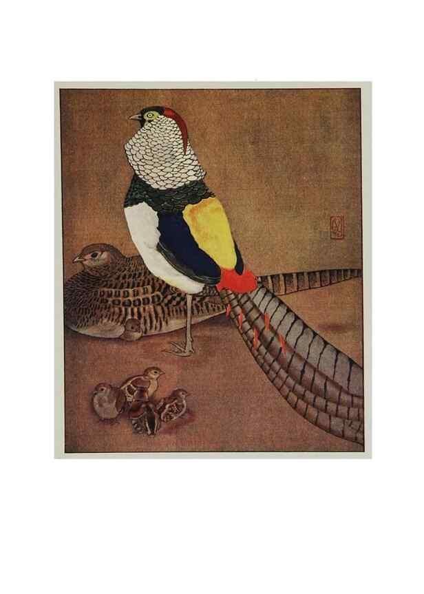 Reproducción/Reproduction 48346870957: The childhood of animals,. New York,F. A. Stokes[1912]. 