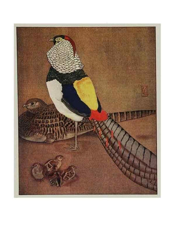 Reproducción/Reproduction 48346870957: The childhood of animals,. New York,F. A. Stokes[1912]. 
