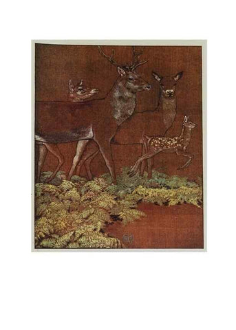 Reproducción/Reproduction 48346734561: The childhood of animals,. New York,F. A. Stokes[1912]. 
