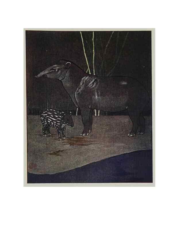 Reproducción/Reproduction 48346871772: The childhood of animals,. New York,F. A. Stokes[1912]. 