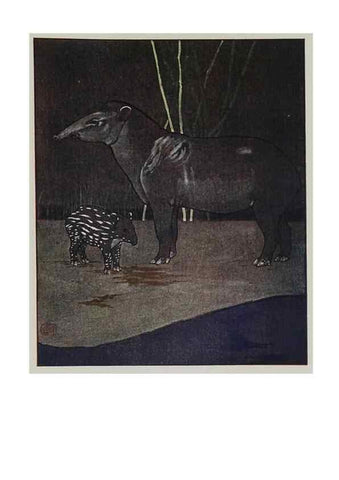 Reproducción/Reproduction 48346871772: The childhood of animals,. New York,F. A. Stokes[1912]. 