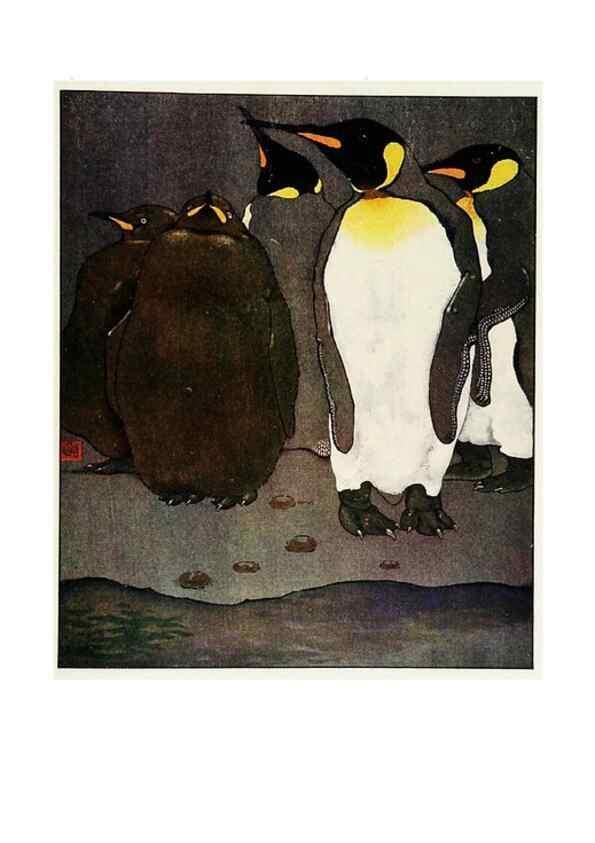 Reproducción/Reproduction 48346872107: The childhood of animals,. New York,F. A. Stokes[1912]. 