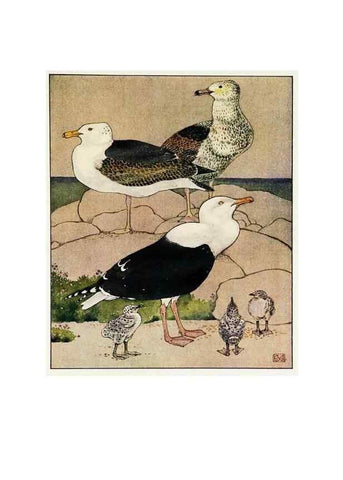 Reproducción/Reproduction 48346872642: The childhood of animals,. New York,F. A. Stokes[1912]. 