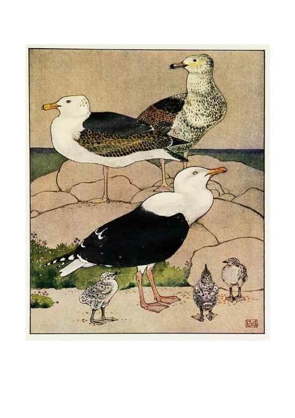 Reproducción/Reproduction 48346872642: The childhood of animals,. New York,F. A. Stokes[1912]. 