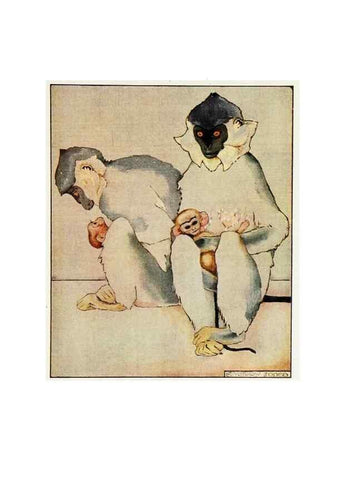 Reproducción/Reproduction 48346736211: The childhood of animals,. New York,F. A. Stokes[1912]. 