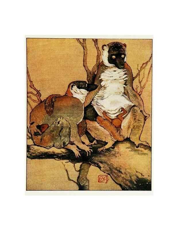 Reproducción/Reproduction 48346873502: The childhood of animals,. New York,F. A. Stokes[1912]. 