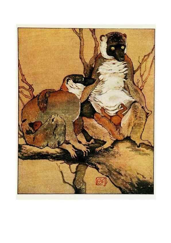 Reproducción/Reproduction 48346873502: The childhood of animals,. New York,F. A. Stokes[1912]. 