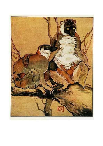 Reproducción/Reproduction 48346873502: The childhood of animals,. New York,F. A. Stokes[1912]. 