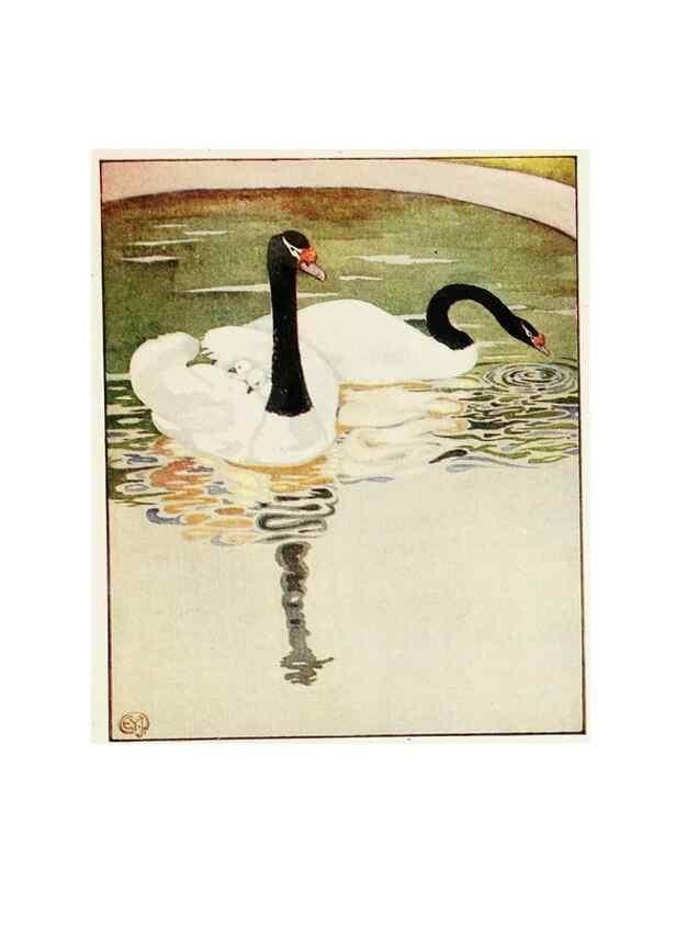Reproducción/Reproduction 48346874162: The childhood of animals,. New York,F. A. Stokes[1912]. 